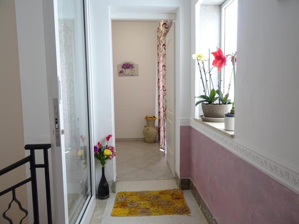 B&B Le Onde Del Mare Bed and Breakfast in San Vito Lo Capo