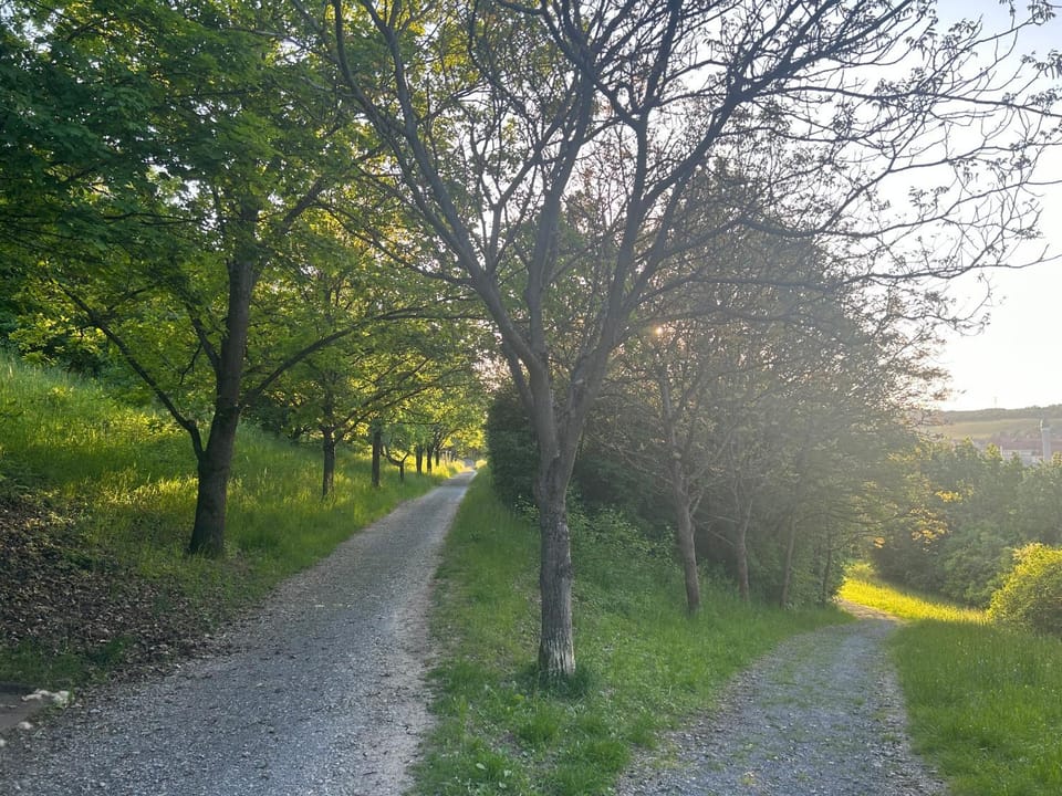 Neighbourhood, Natural landscape, Hiking, Hiking, Cycling, Area and facilities