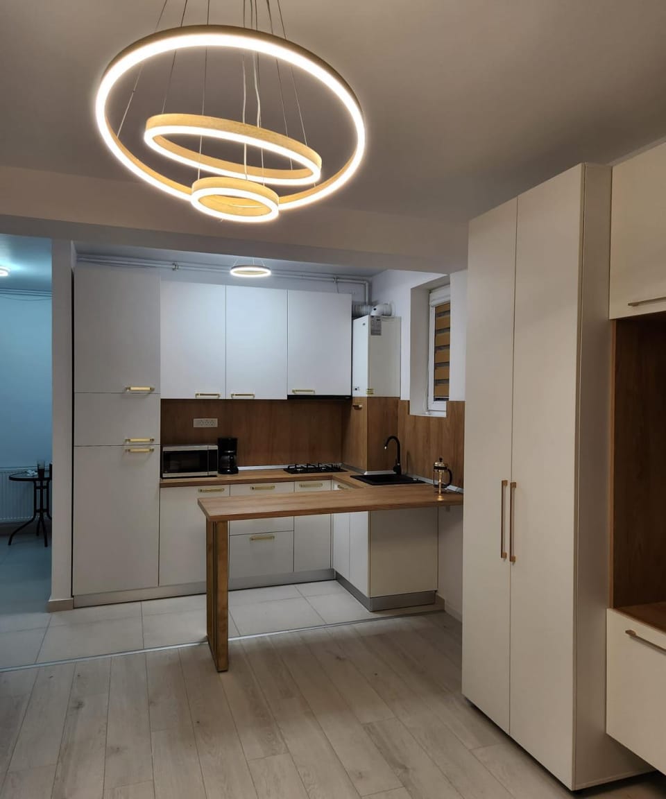 Kitchen or kitchenette, minibar, pet friendly, stove