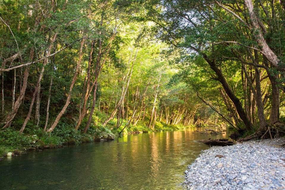 Natural landscape, River view