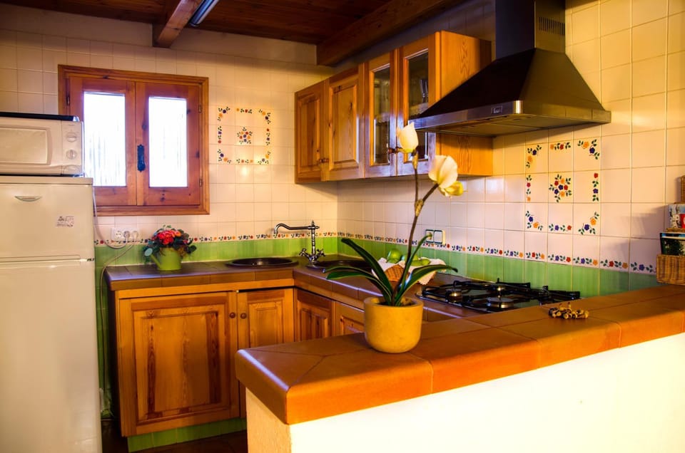 Kitchen or kitchenette, pet friendly