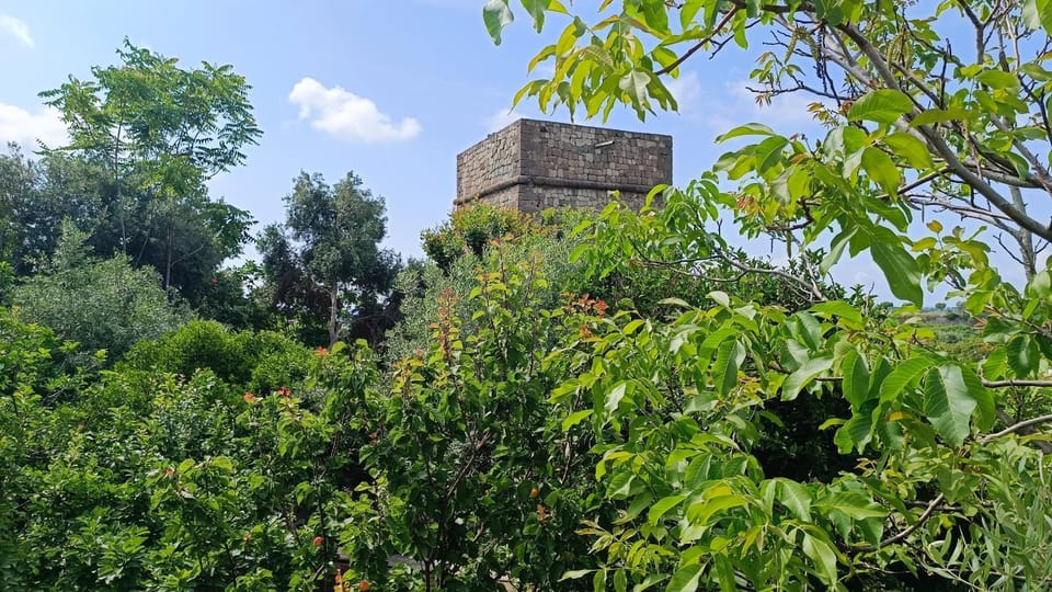 Property building, Garden, Garden view, Landmark view