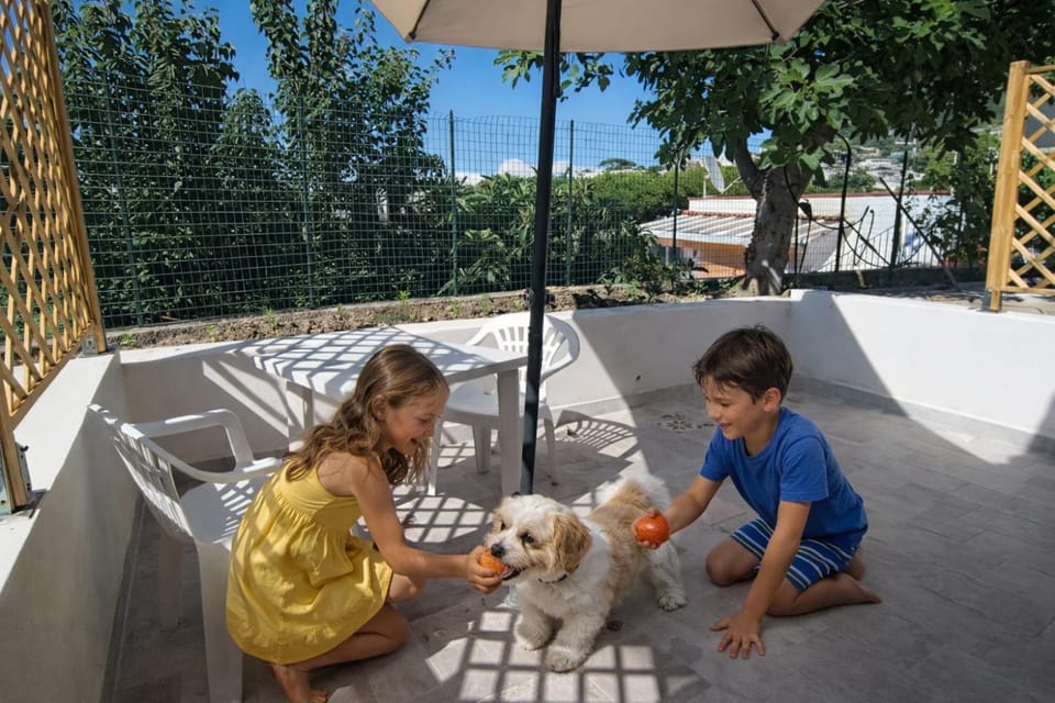 Patio, Day, Pets, children