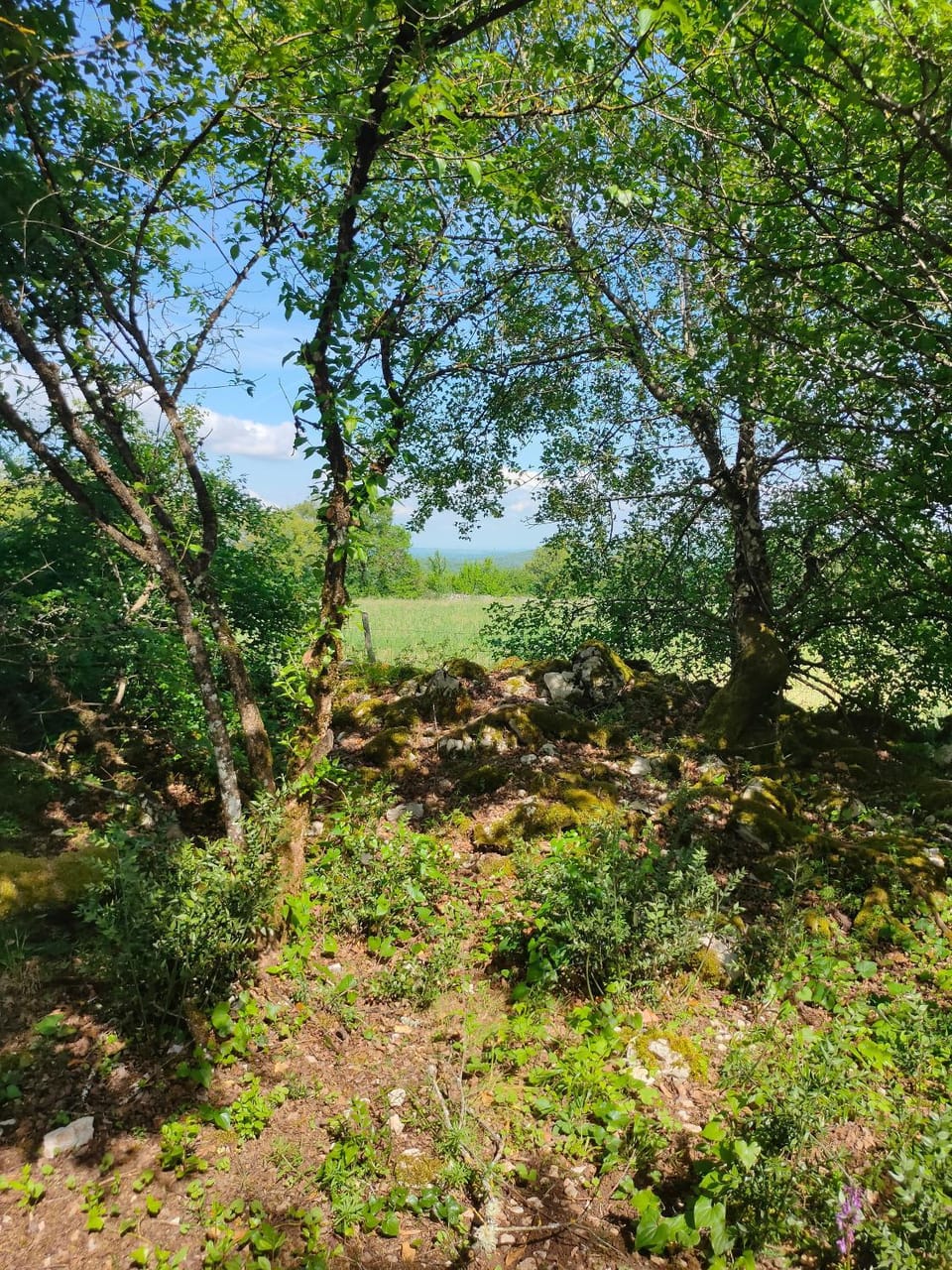 Célé Bulles Étoilées Luxury tent in Occitanie