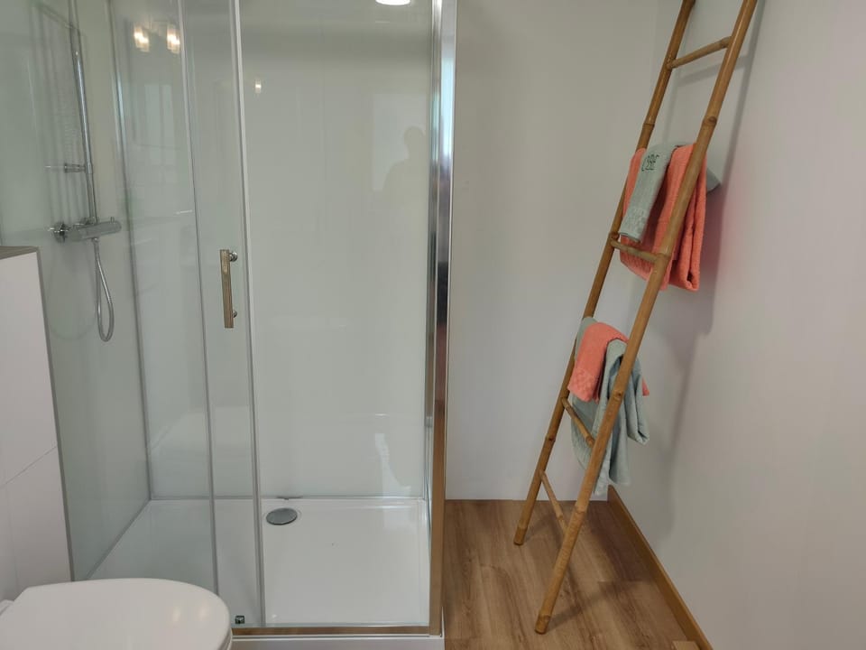 Shower, Toilet, Bathroom, towels