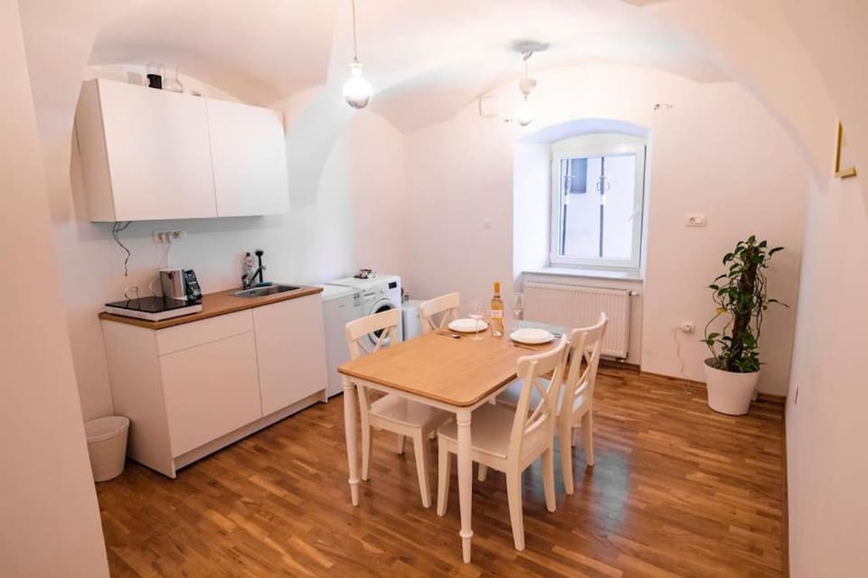 Dragon's Cave Apartment in Ljubljana
