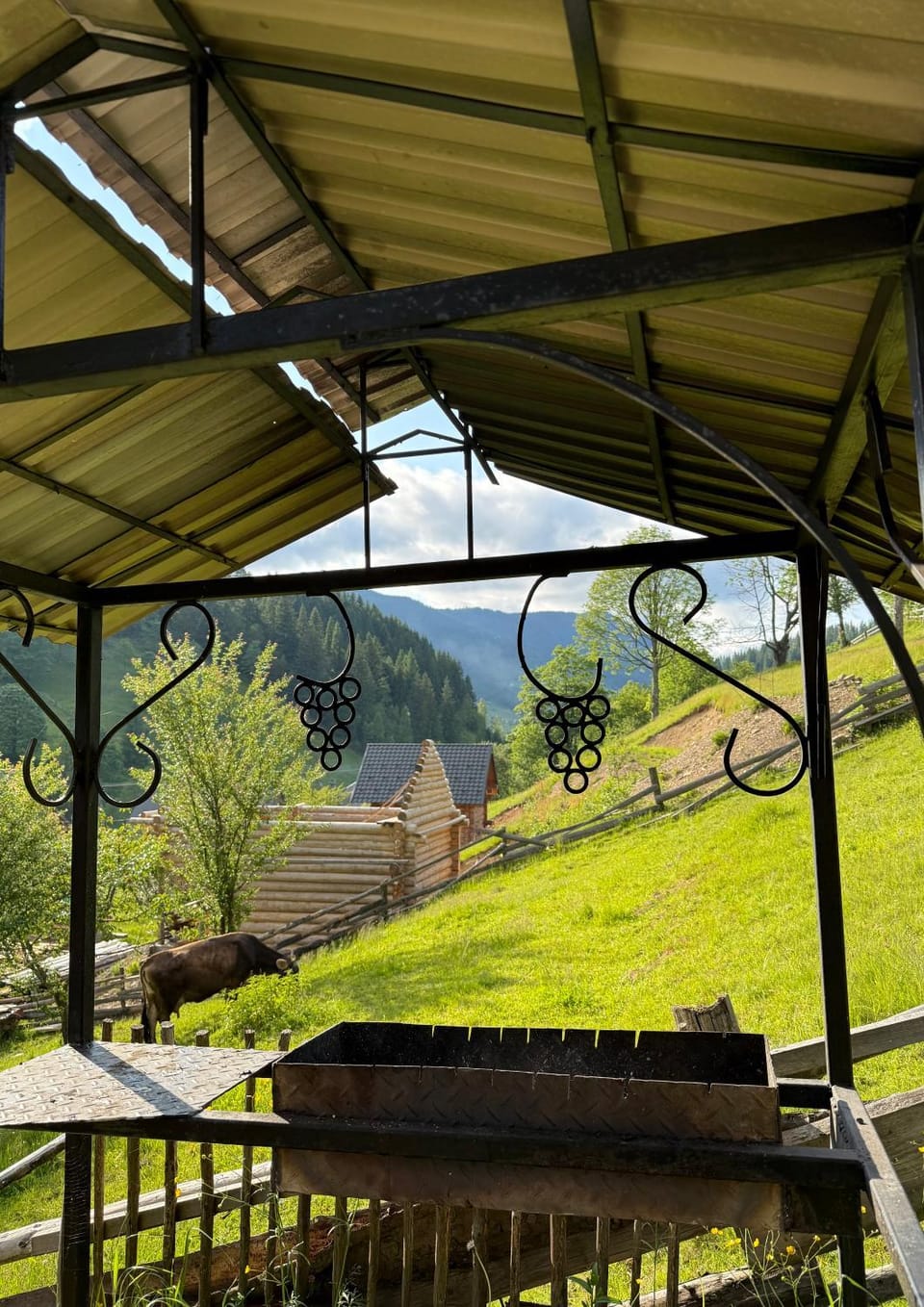 Natural landscape, Garden, Garden view, Mountain view