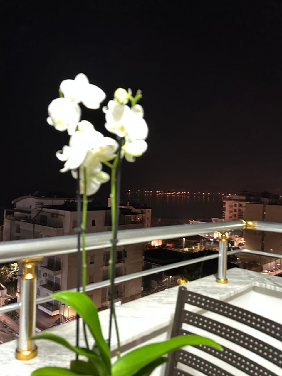 West View Apartment Apartment in Tirana County, Albania