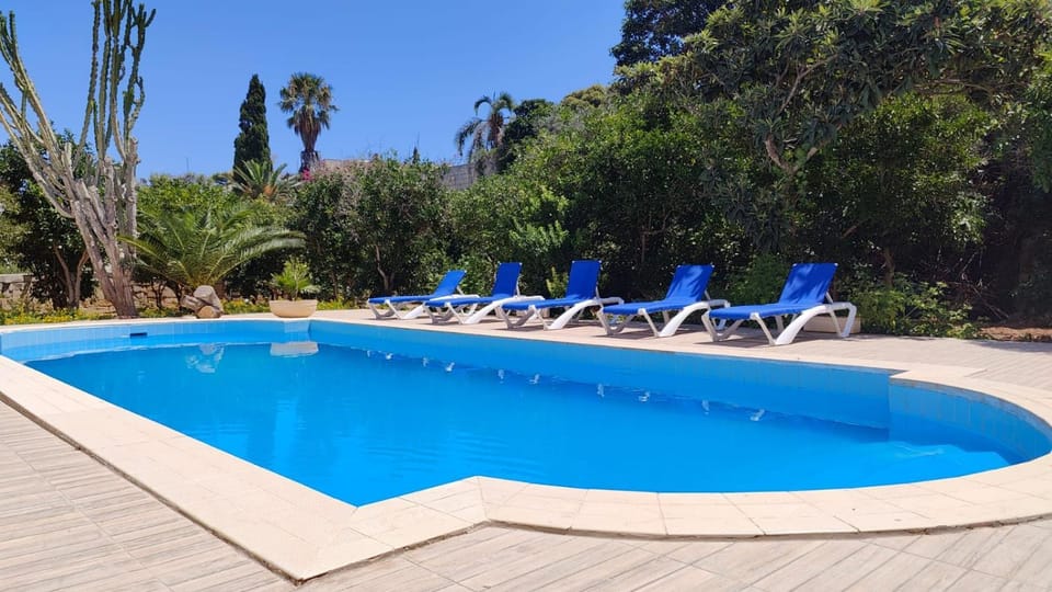 Day, Garden, Garden view, Pool view, Swimming pool, sunbed