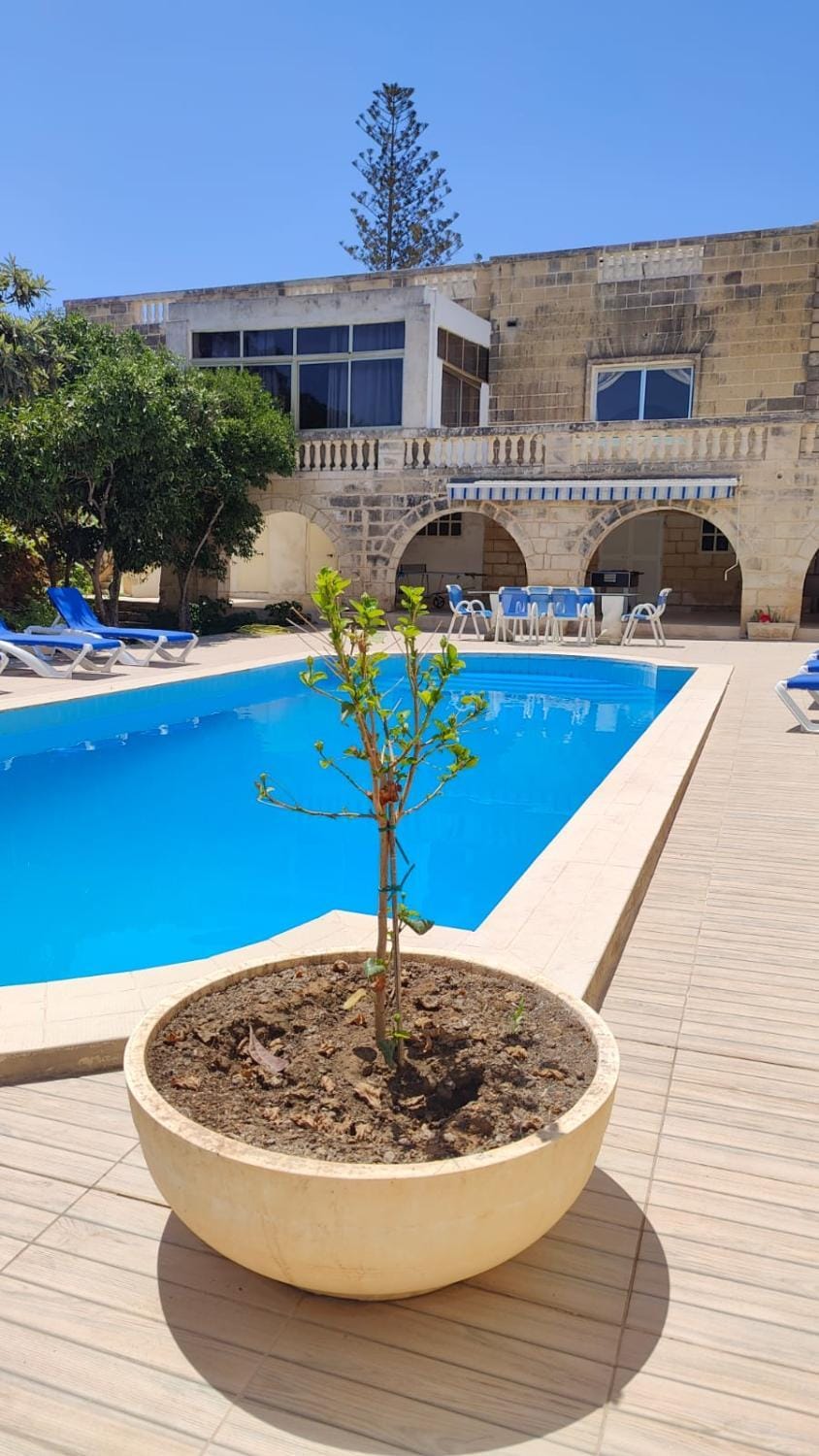Property building, Day, Pool view, Swimming pool, sunbed