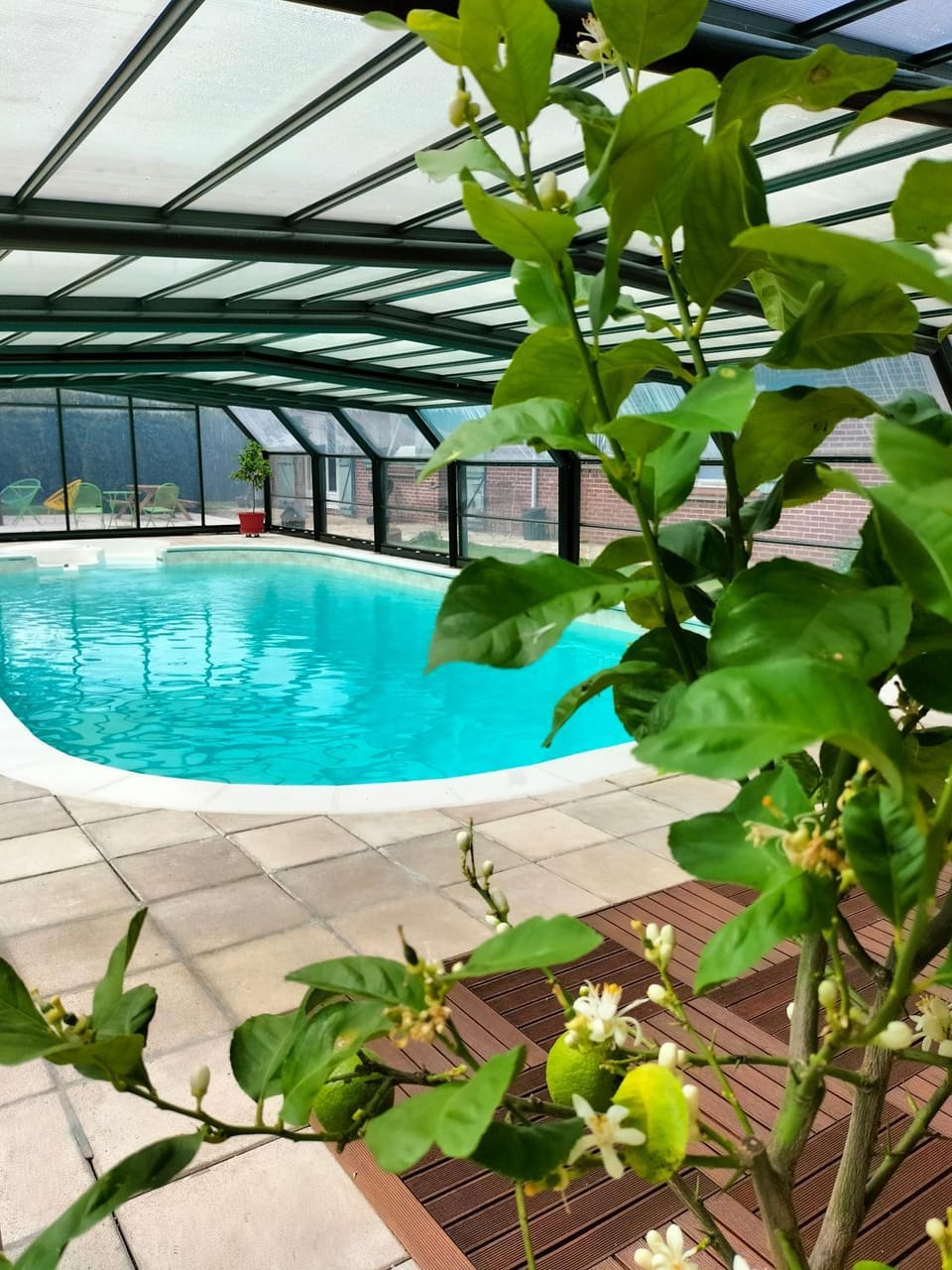 Day, Garden view, Pool view, Swimming pool, Swimming pool, sunbed
