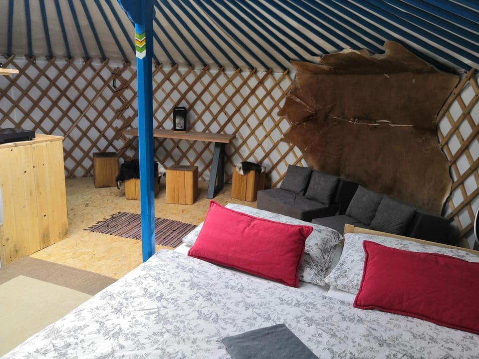 Living room, Photo of the whole room