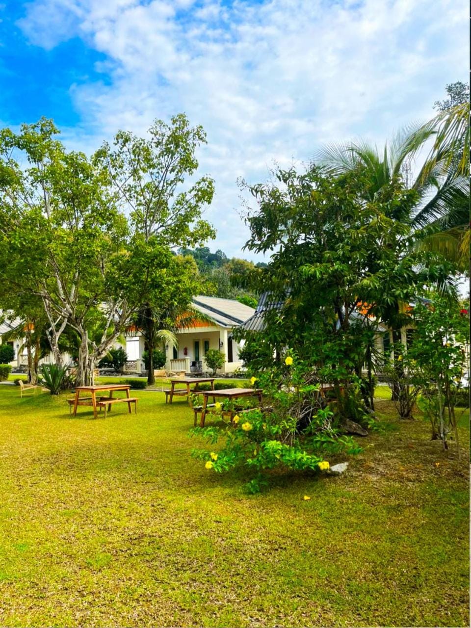 Day, Natural landscape, Garden, Garden, View (from property/room), Garden view, Mountain view