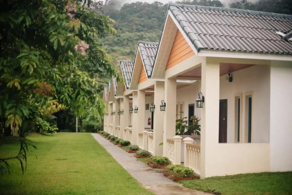 Property building, Garden view