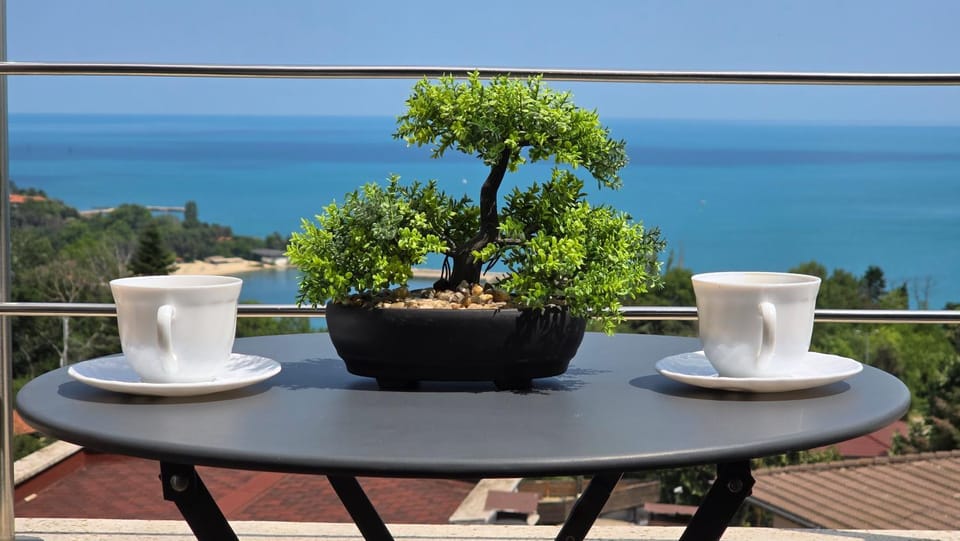 Black sea Narcissus - quiet studio with amazing sea view Apartment in Varna