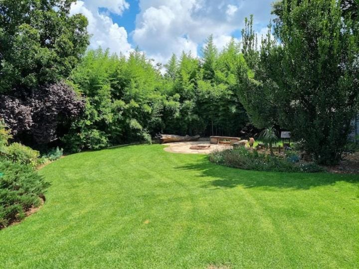 Garden view