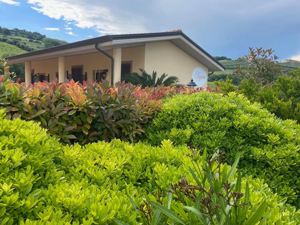 Vigneto - Italian Restaurant & B&B Bed and Breakfast in Abruzzo