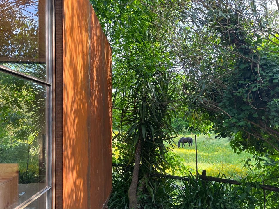 Natural landscape, Animals, Garden view