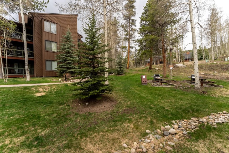Wild Irishman #1030 Apartment in Keystone