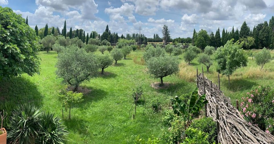 Natural landscape, Garden