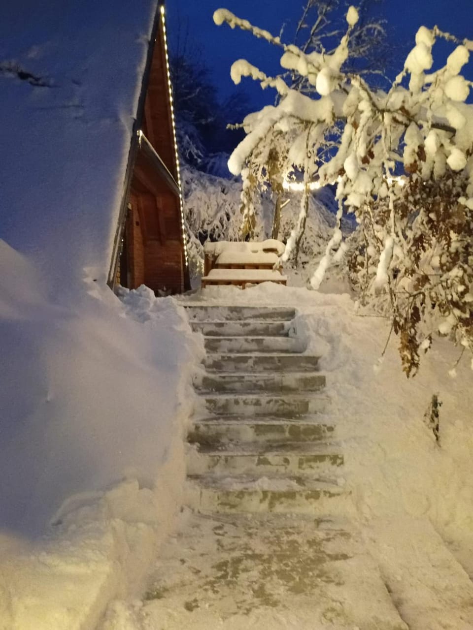 Natural landscape, Winter