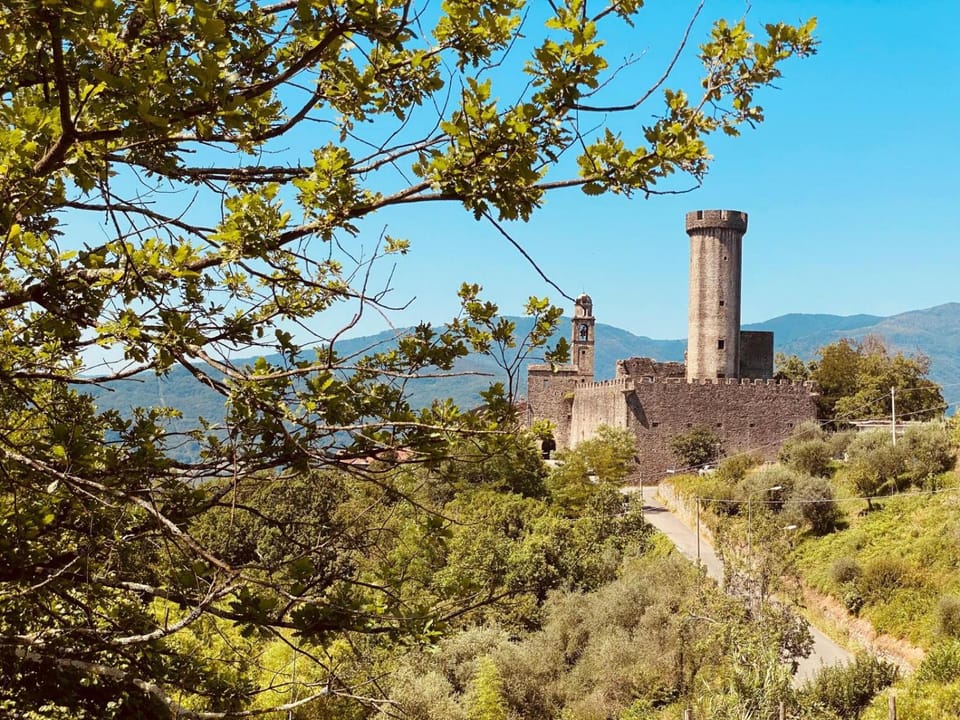 Appartamenti l'Olivo Apartment in Province of Massa and Carrara