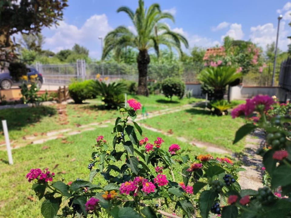 Spring, Day, Garden, Garden view