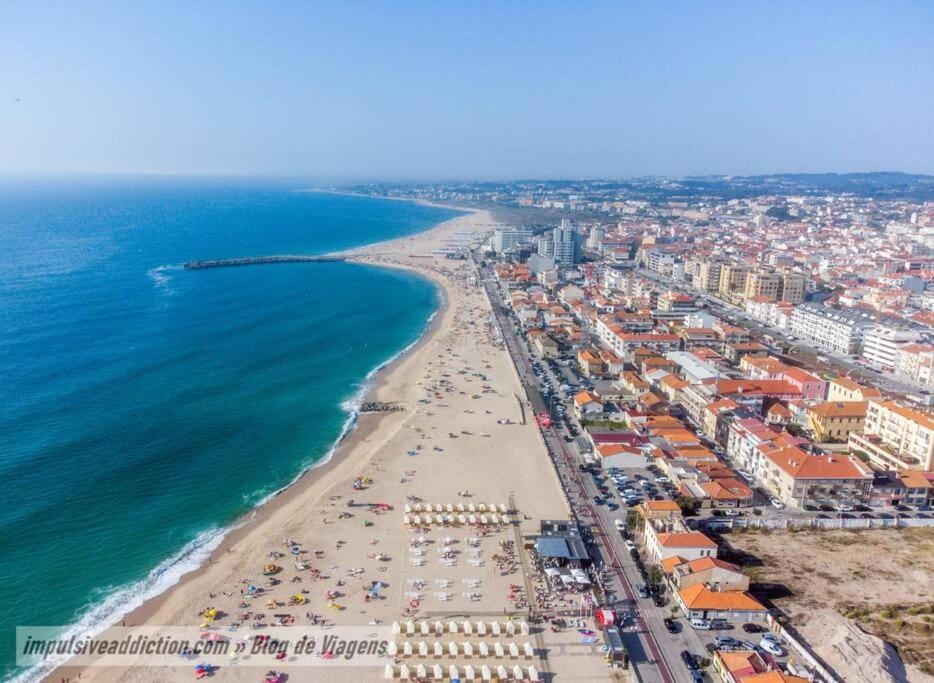 Day, Natural landscape, Bird's eye view, Beach, Evening entertainment, City view, Sea view, Location