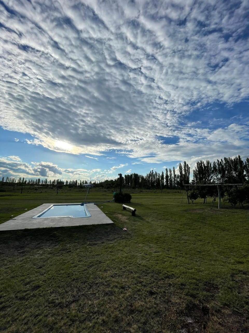 Swimming pool