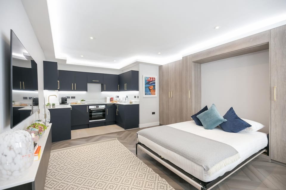 Bed, TV and multimedia, Kitchen or kitchenette, Living room, Photo of the whole room, Seating area, Bedroom, oven, stove