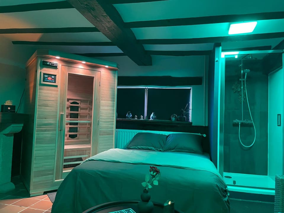Casawellness améthyste ou jaspe océan avec jacuzzi intérieur Country House in Wallonia, Belgium