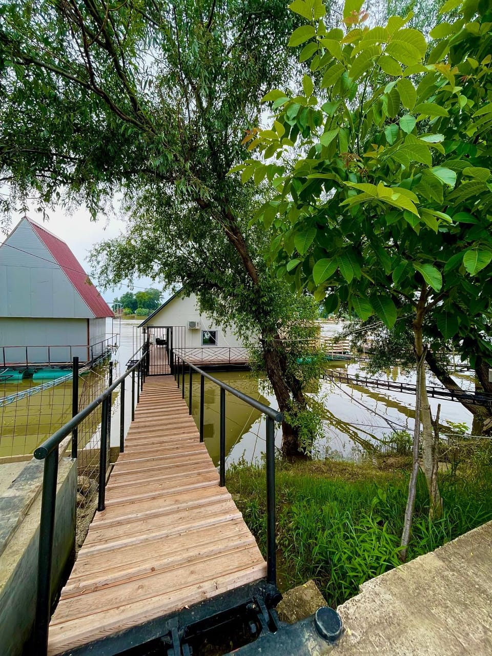 Lake view