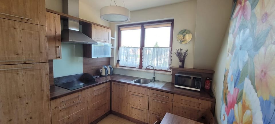 Kitchen or kitchenette, minibar, stove