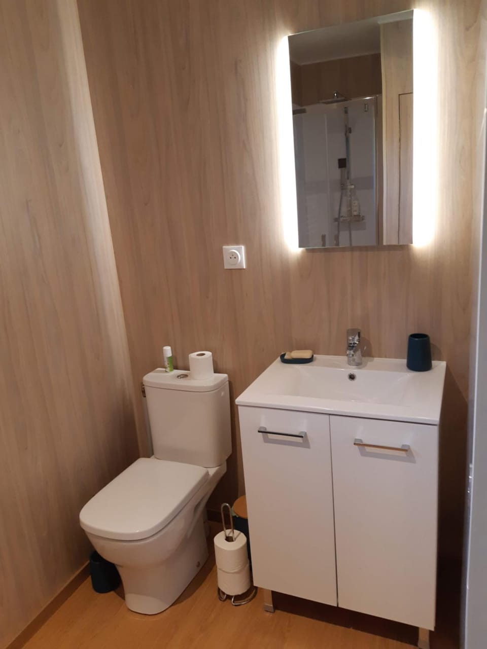 Toilet, Bathroom