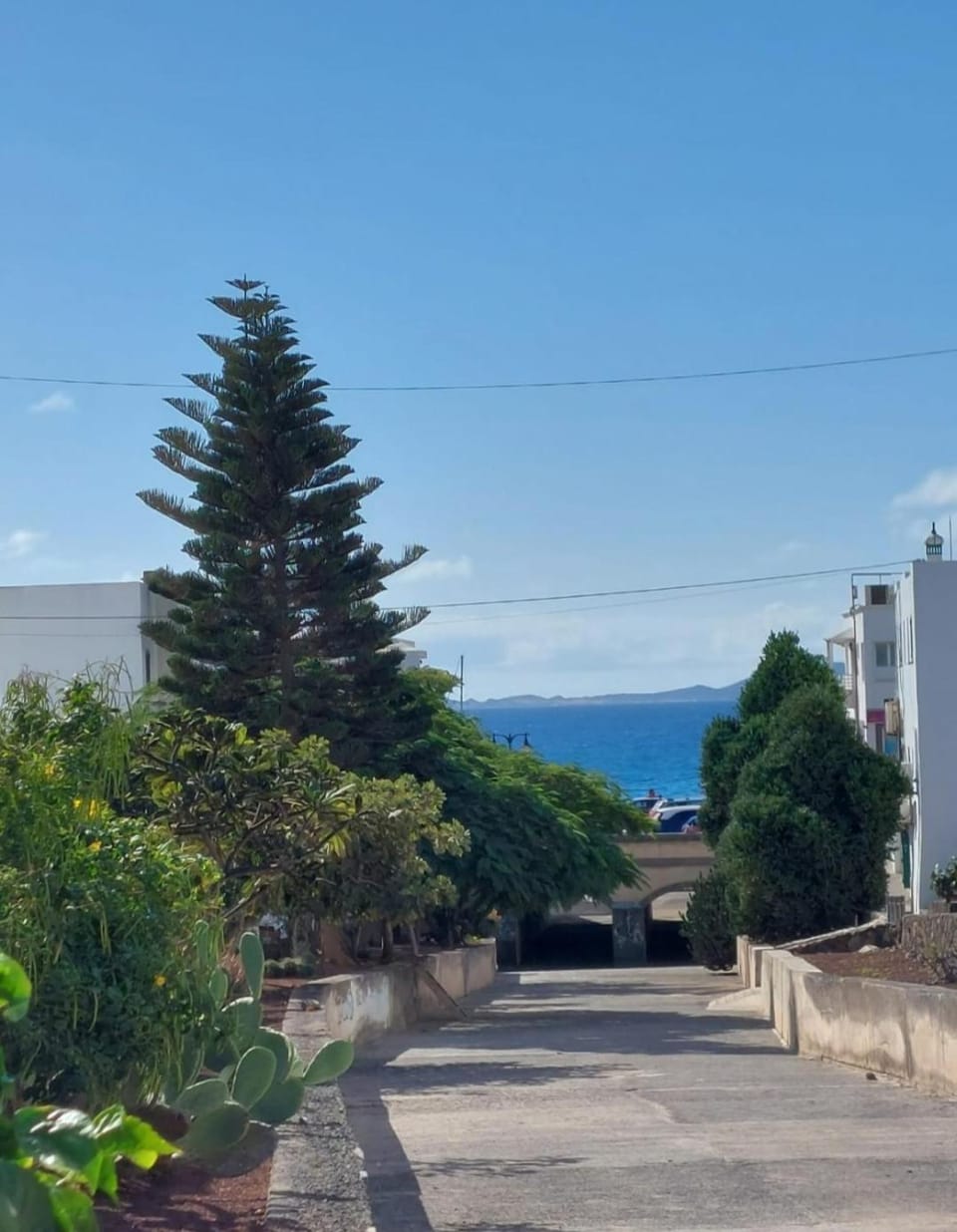 Natural landscape, Garden view, Sea view