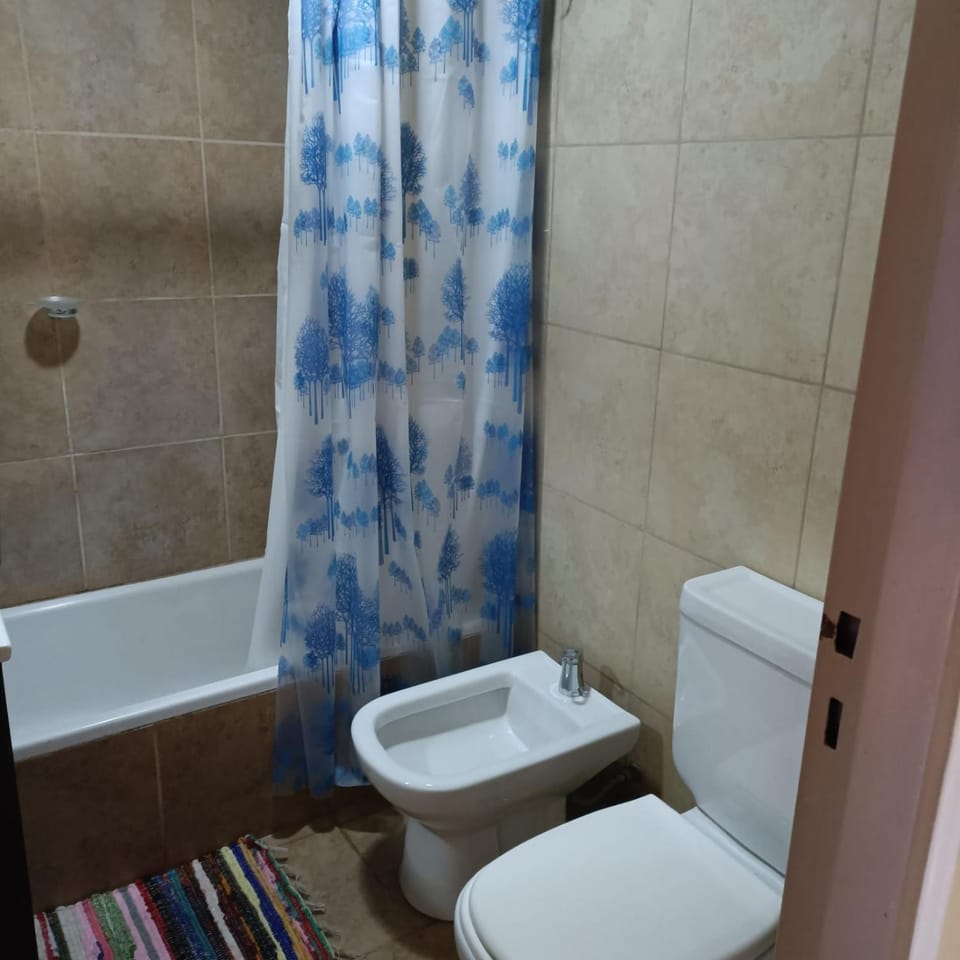 Shower, Bathroom, Bath, bidet