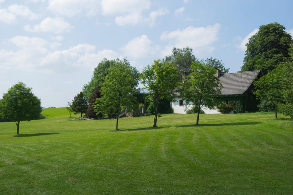 Property building, Garden, Garden view