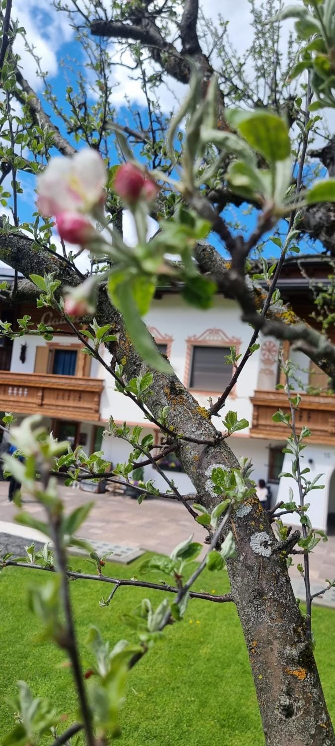 Spring