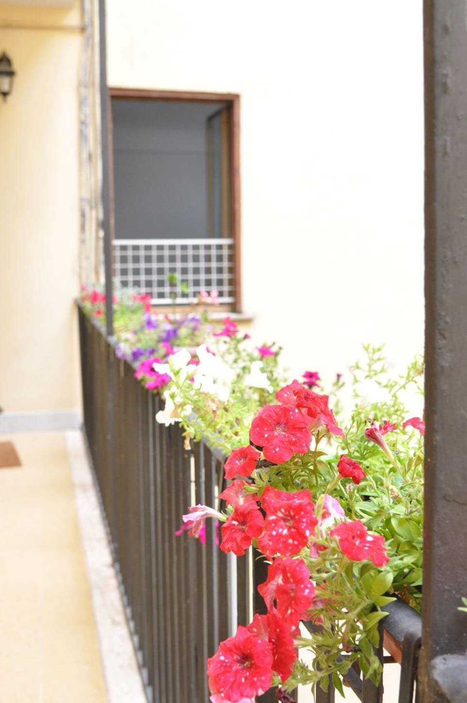 Spring, Balcony/Terrace