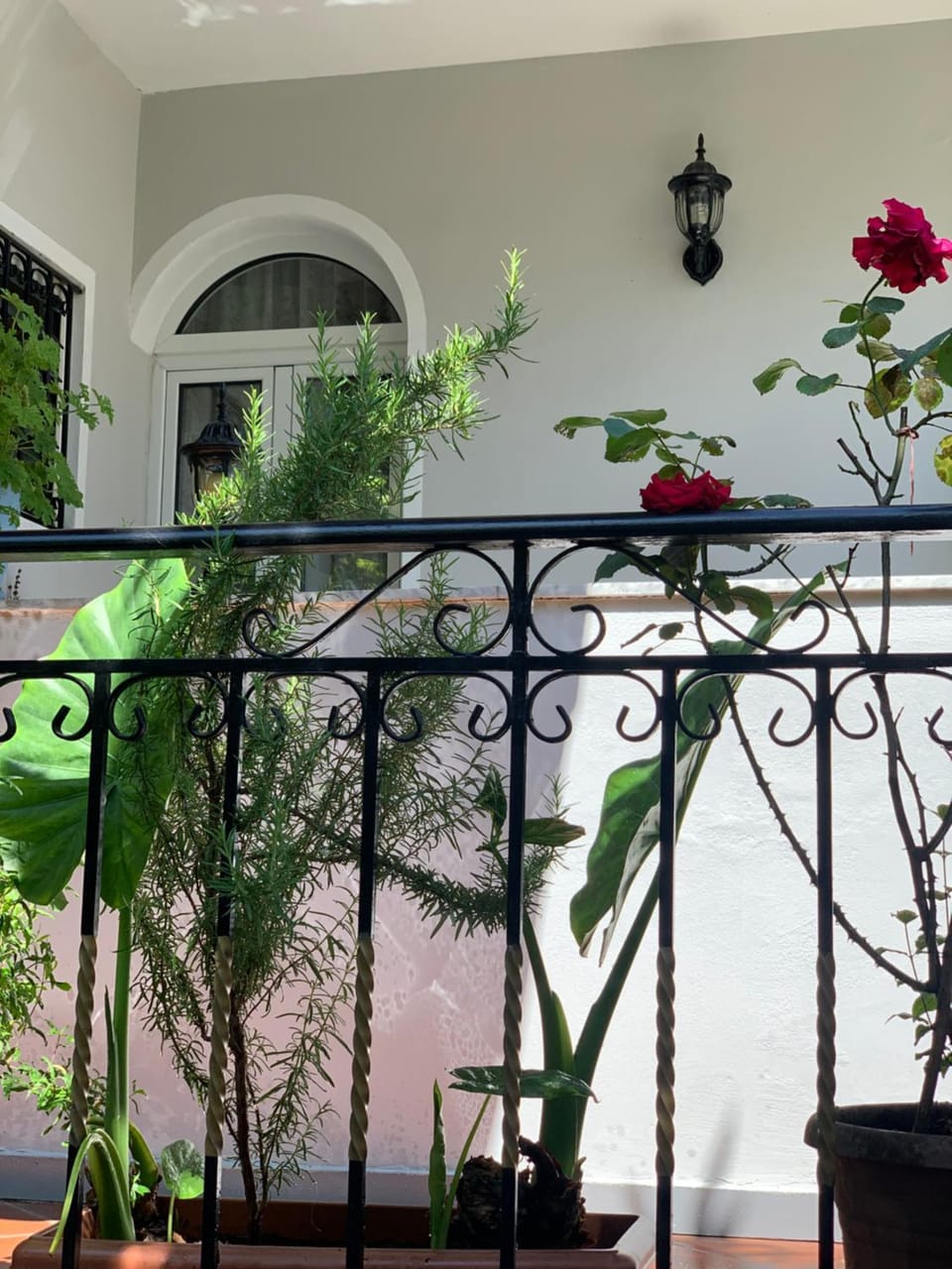 Garden, View (from property/room), Garden view