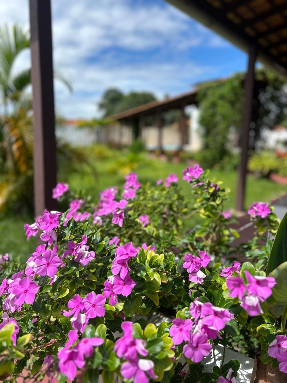 Casa Mangue Vacation rental in State of Pará