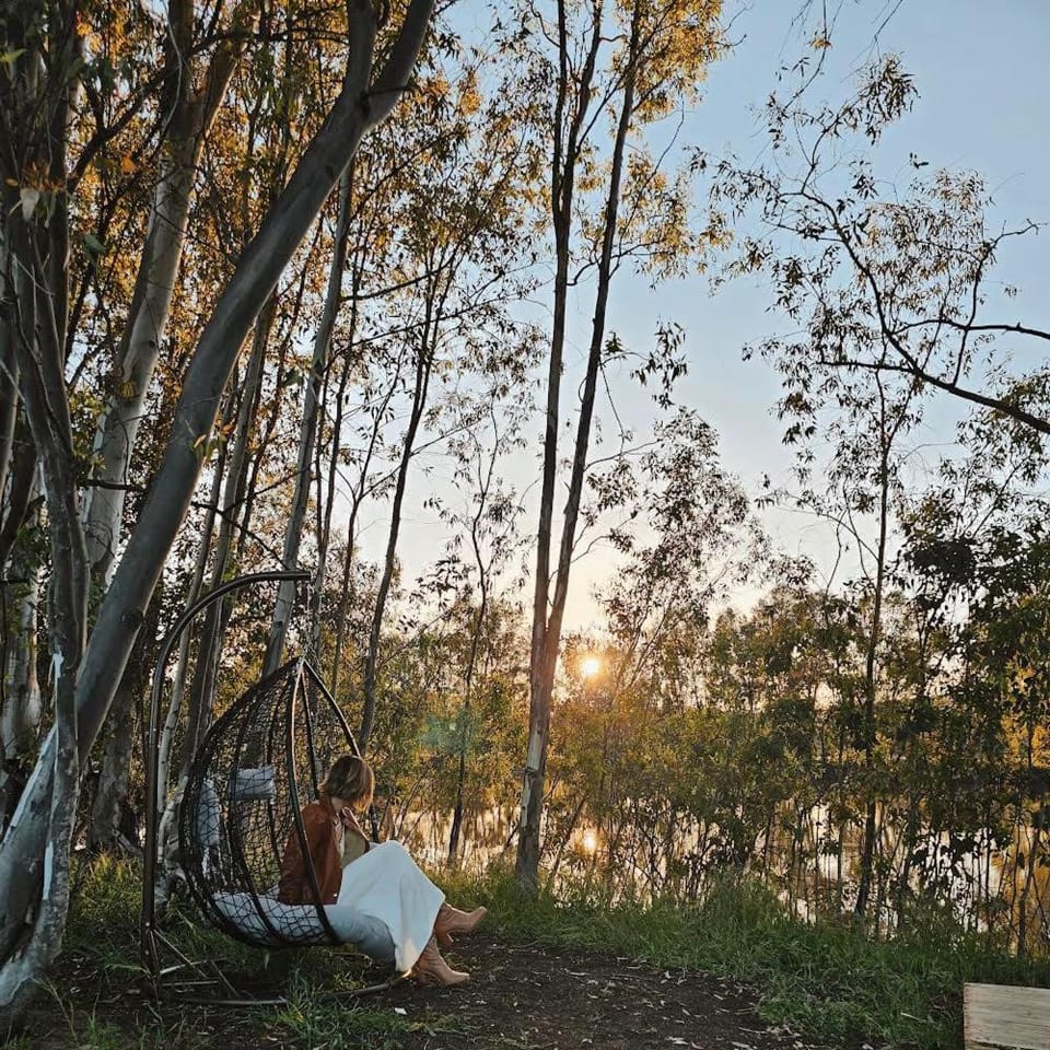 Lake view