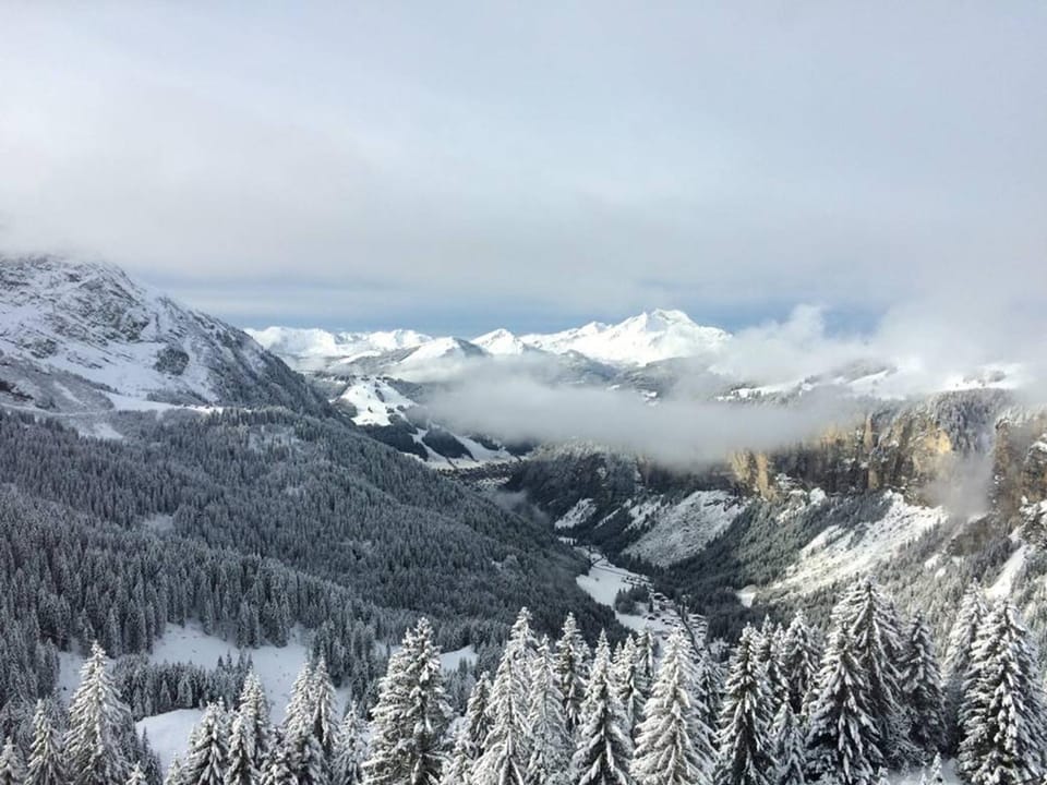 Superbe duplex 4 pièces pour 10 pers. à Avoriaz avec accès skis aux pieds - FR-1-314-122 Apartment in Avoriaz