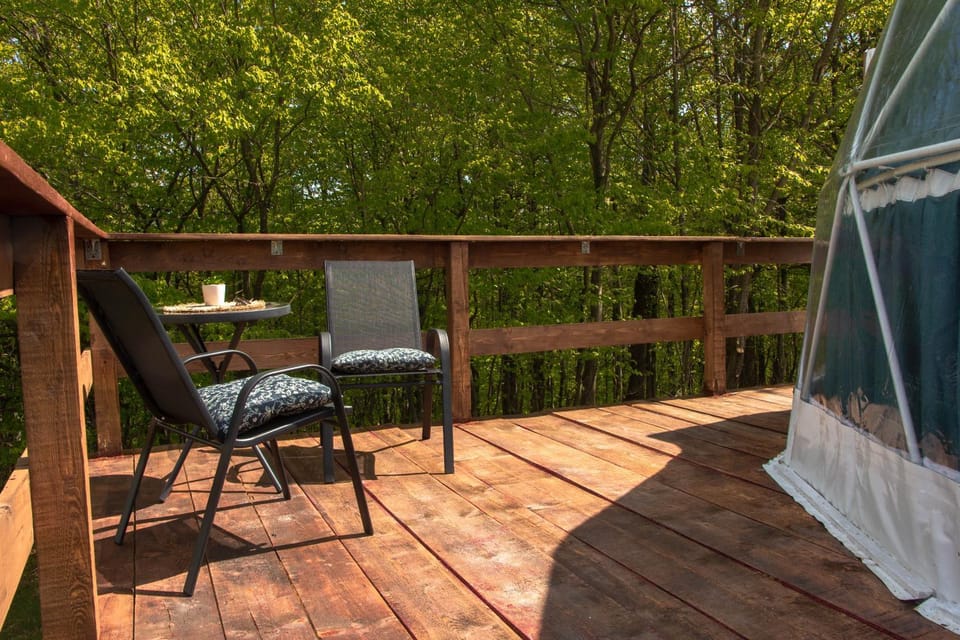 Patio, Spring, Day, Garden, View (from property/room), Balcony/Terrace, Dining area, Garden view