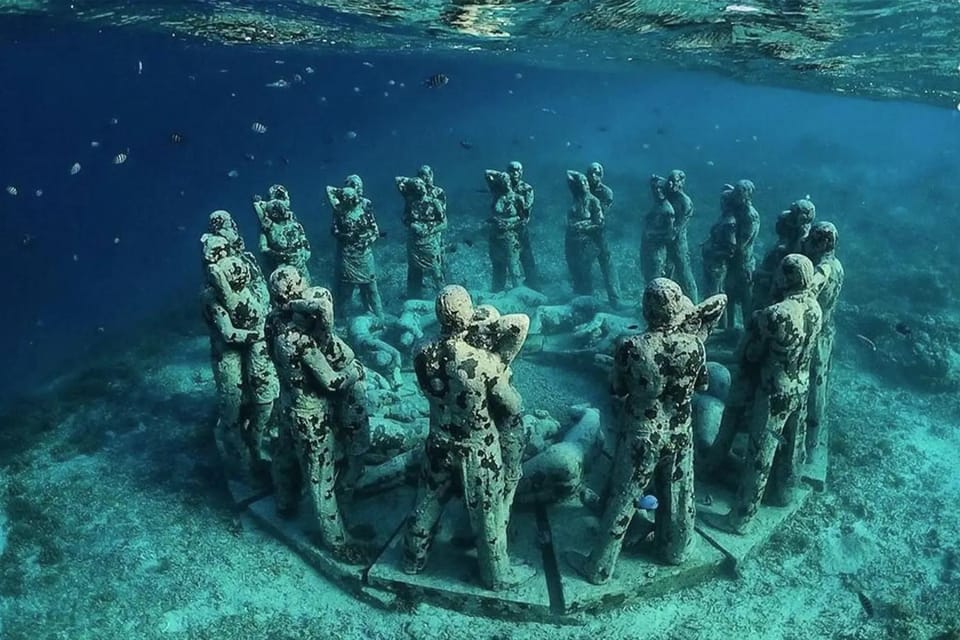 Activities, Snorkeling, Diving