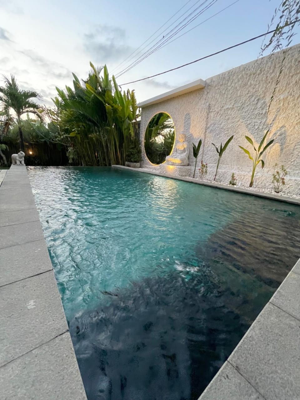 Day, Pool view, Swimming pool
