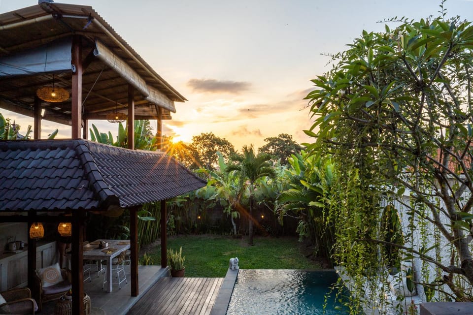 Garden, Garden view, Sunset