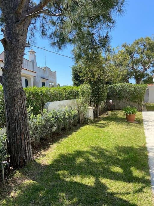 villa a Marina di Ostuni Villa in Province of Taranto