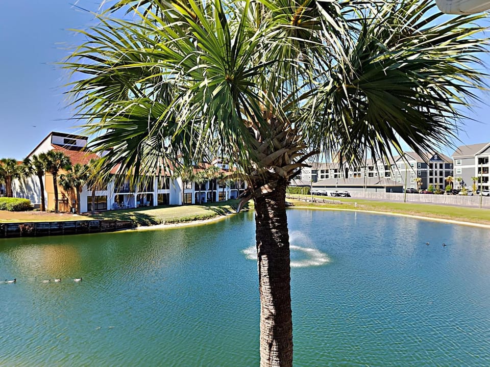 Property building, Neighbourhood, Natural landscape