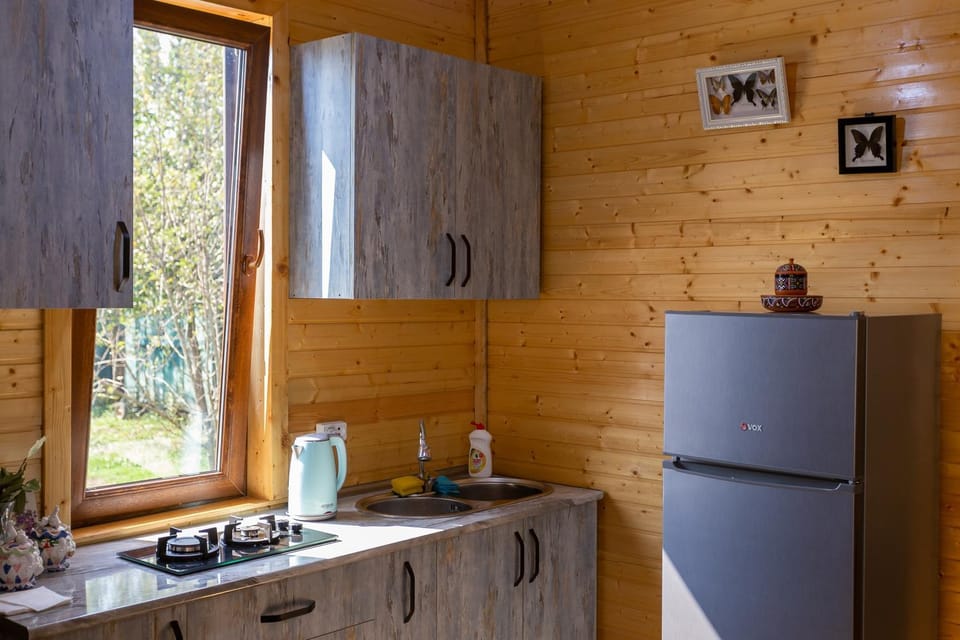 Kitchen or kitchenette, oven, stove